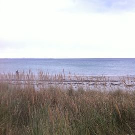 Blick von der Stranddüne in Scharbeutz auf die Ostsee