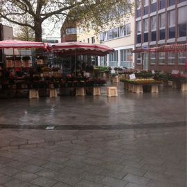 Wochenmarkt Vegesack in Bremen