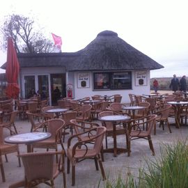 Stranddüne in Scharbeutz 