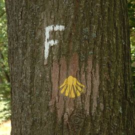 Auf dem Pilgerweg nahe Wilsede im Naturschutzpark Lüneburger Heide