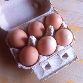 Frische BIO Eier vom Wochenmarkt in Vegesack