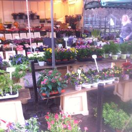 Blumenmarkt (Unser Lieben Frauen Kirchhof) - Bremen-Mitte in Bremen