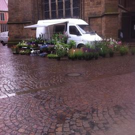 Blumenmarkt (Unser Lieben Frauen Kirchhof) - Bremen-Mitte in Bremen