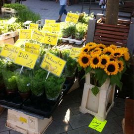 Wochenmarkt am Sedanplatz in Vegesack in Bremen