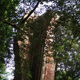 Bei der Klosterruine in Hude am 27. September 2011