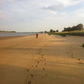 Weserhalbinsel "Elsflether Sand" in Elsfleth