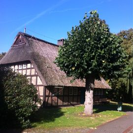 Freilichtbühne Stedingsehre in Bookholzberg Gemeinde Ganderkesee