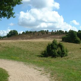 Sommerwetter in der Lüneburger Heide