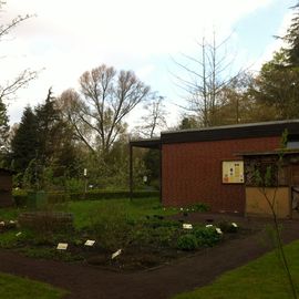 Botanischer Garten der Carl von Ossietzky Universität Oldenburg in Oldenburg in Oldenburg