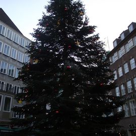 Auf dem Bremer Weihnachtsmarkt beim Marktplatz - Tannenbaum am Marktplatz