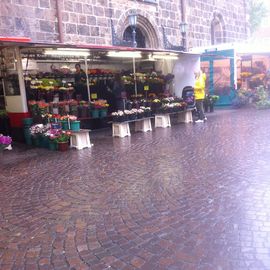 Blumenmarkt (Unser Lieben Frauen Kirchhof) - Bremen-Mitte in Bremen