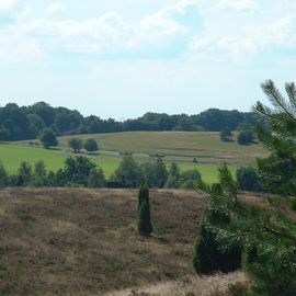 Kutschen und Reiter auf dem Weg in der Lüneburger Heide