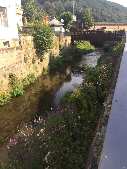 Nutzerbilder Stadtverwaltung Königstein