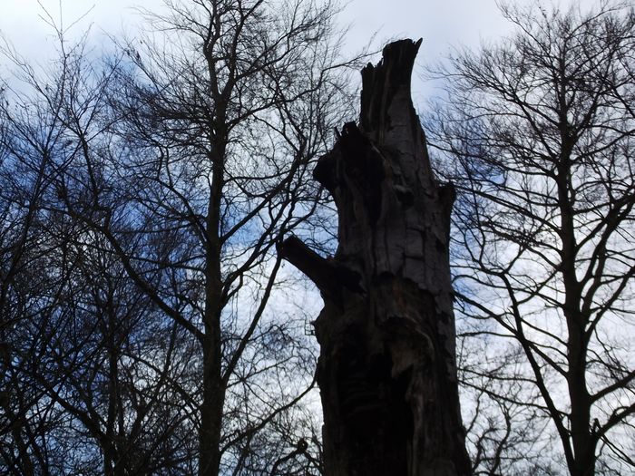 Nutzerbilder Naturpark Zweckverband Wildeshauser Geest, Gästeservice