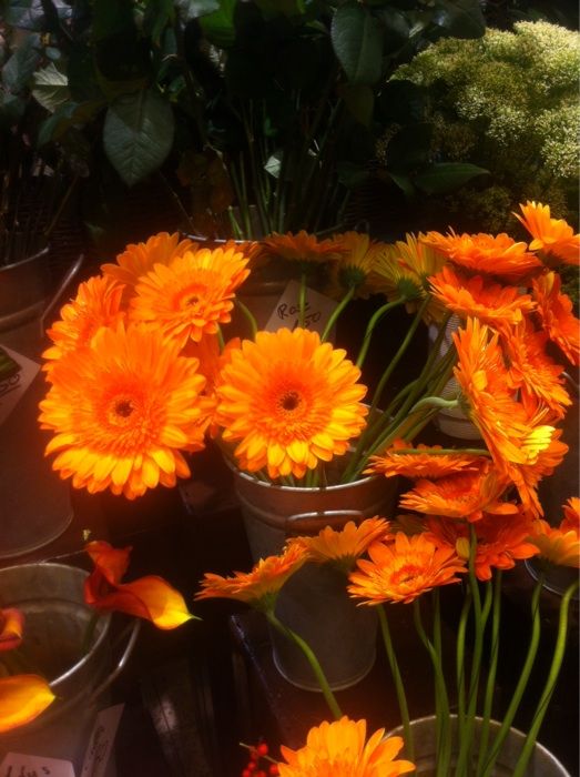 Nutzerbilder Fleur Shop Blumen