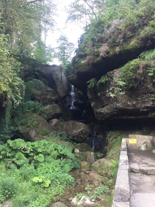 Nutzerbilder Lichtenhainer Wasserfall/Gasthof