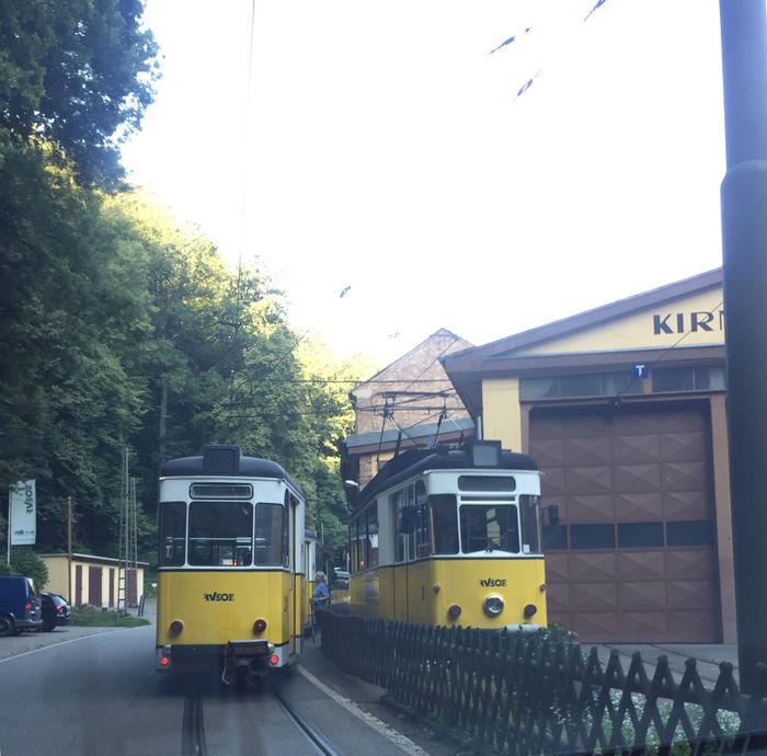 Nutzerbilder Regionalverkehr Sächsische Schweiz-Osterzgebirge GmbH