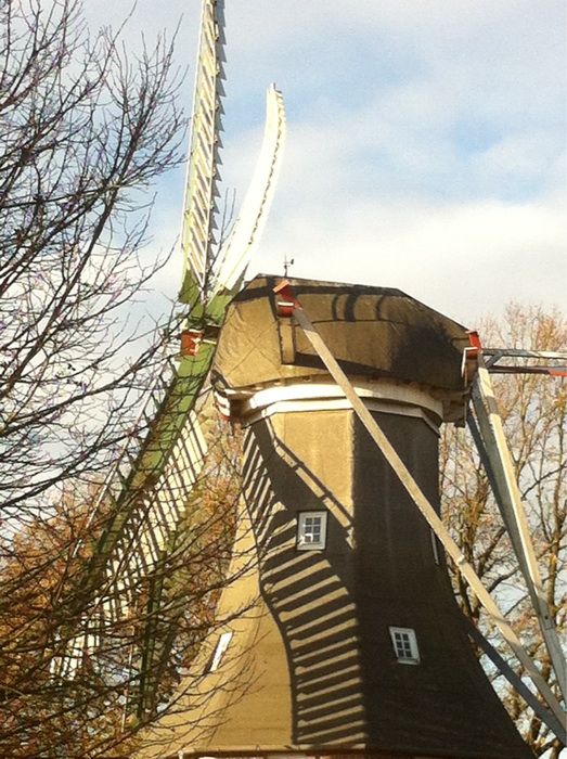 Trauzimmer in der Windmühle "De lütje Anja"
