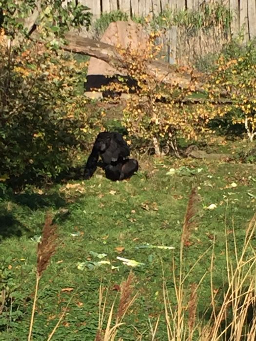 Nutzerbilder Zoo Osnabrück gGmbH