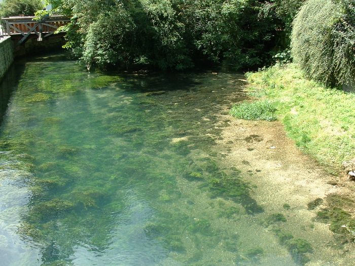 Nutzerbilder Blautopfhaus Schönhofer