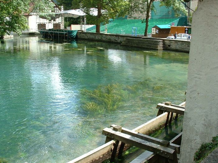 Nutzerbilder Blautopfhaus Schönhofer