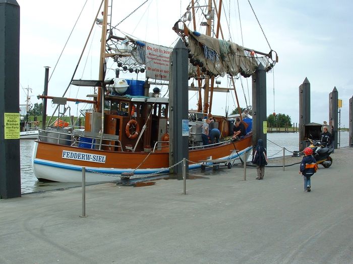 Nutzerbilder Butjadinger Fischereigesellschaft Kutterfisch-Zentrale GmbH