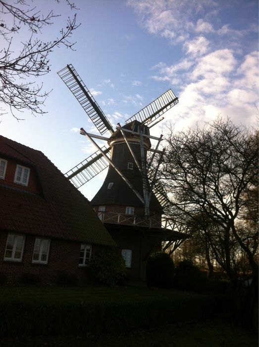 Trauzimmer in der Windmühle "De lütje Anja"