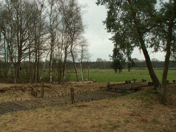 Die Kopie vom Bohlenweg an der Fundstelle in Hude