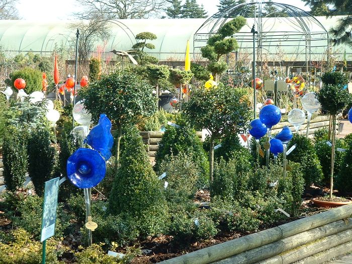 Nutzerbilder Tönjes, GARTEN - BAUMSCHULEN Privatverkauf