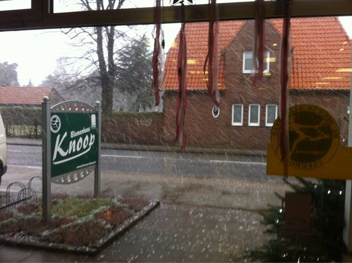 Schneeflocken im Bungerhof bei Knoop