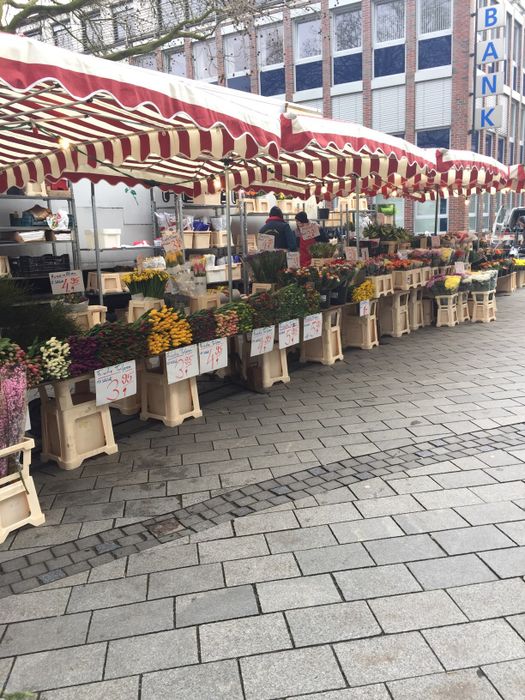 Wochenmarkt Vegesack