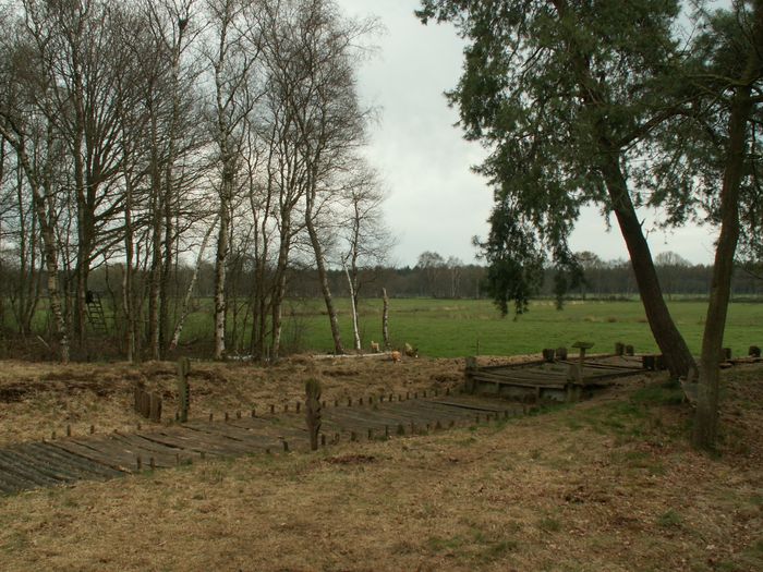 Der historische Bohlenweg von 129 v. Chr. nahe dem Gasthaus Ton Drögen Schinken