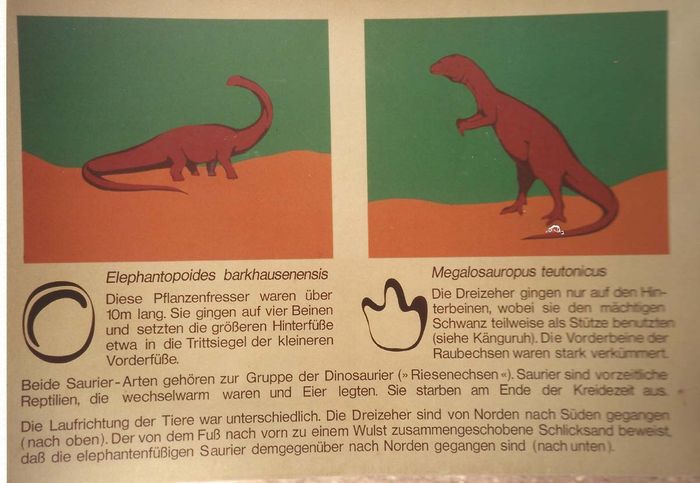 Nutzerbilder Dinosaurier-Park Münchehagen GmbH & Co. KG