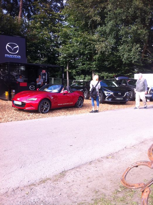 Asbree-Automobile auf dem Stoppelmarkt 2016