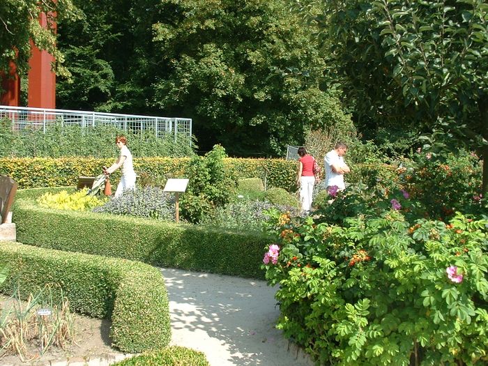 Rund um das Kloster Ihlow in Ostfriesland