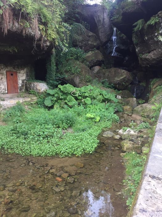 Nutzerbilder Lichtenhainer Wasserfall/Gasthof