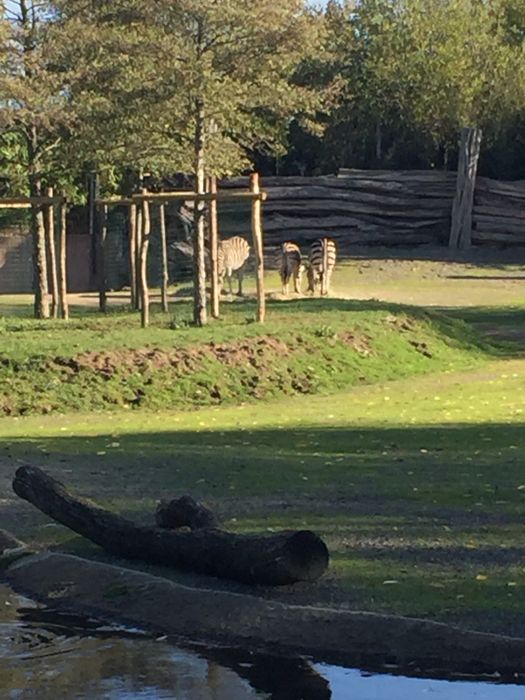 Nutzerbilder Zoo Osnabrück gGmbH