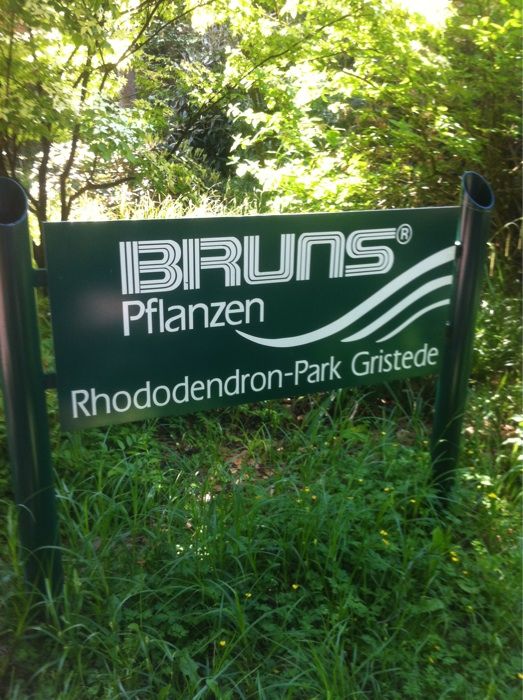 Bruns-Pflanzen-Export GmbH & Co. KG