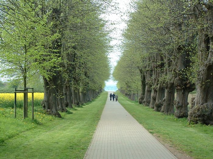 Nutzerbilder Schlossgut Groß Schwansee