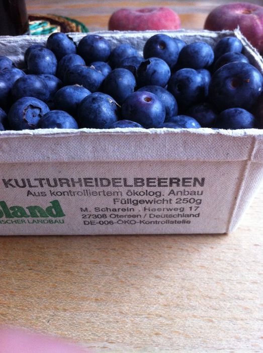 Heidelbeeren in Bio Qualität