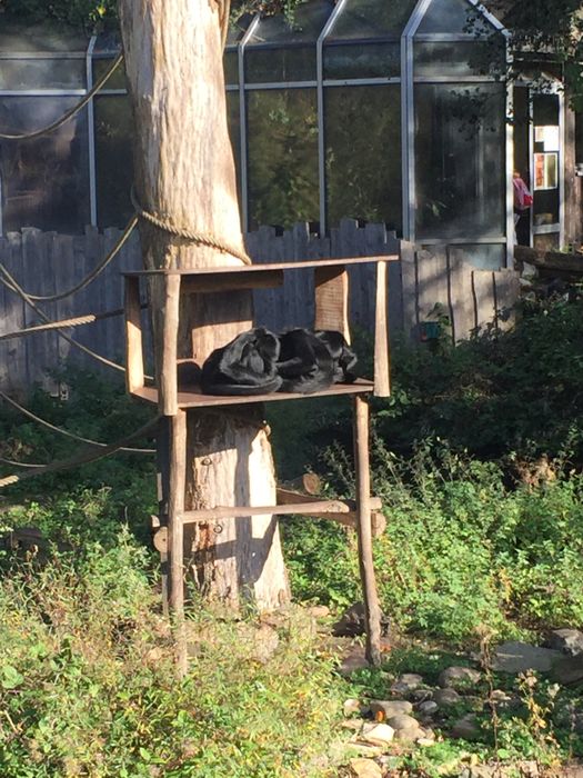 Nutzerbilder Zoo Osnabrück gGmbH