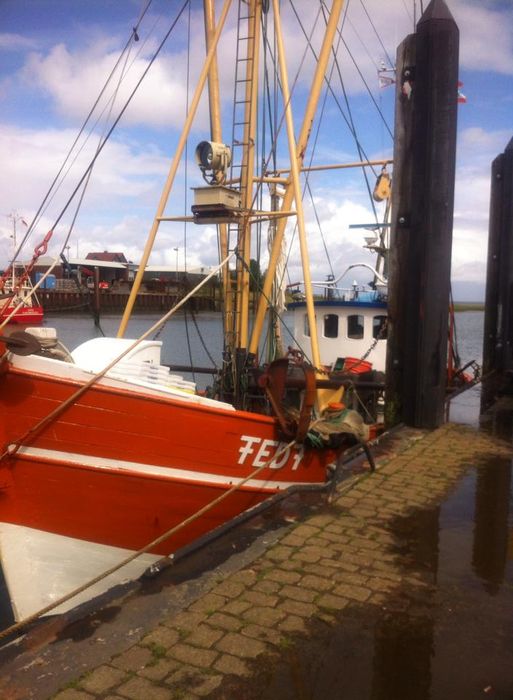 Nutzerbilder Butjadinger Fischereigesellschaft Kutterfisch-Zentrale GmbH