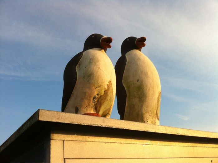 Die Pinguine auf dem Pumpenhaus fühlen sich richt wohl bei der Kälte