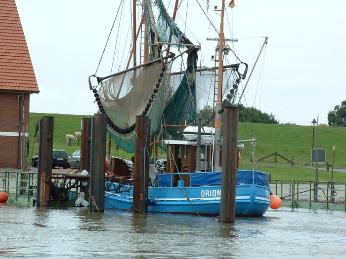 Nutzerbilder Butjadinger Fischereigesellschaft Kutterfisch-Zentrale GmbH