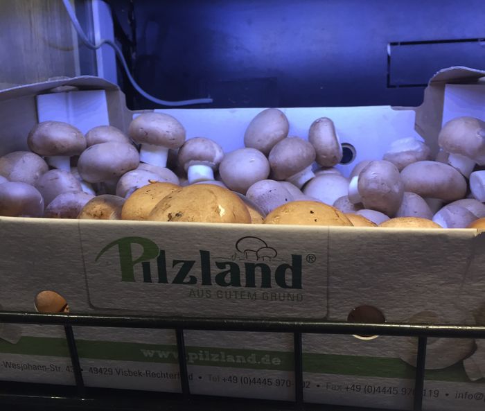 Champignons im EDEKA Markt