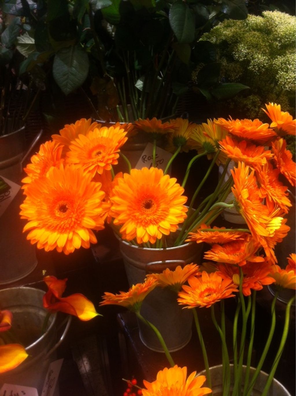 Nutzerfoto 4 Fleur Shop Blumen