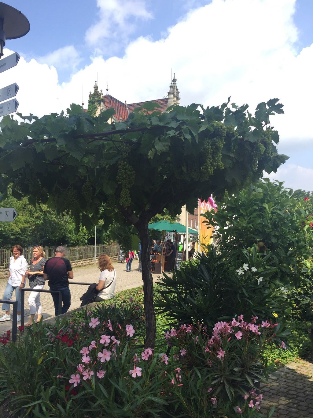 Nutzerfoto 20 Vinum Schloss Landestrost Weinhandel