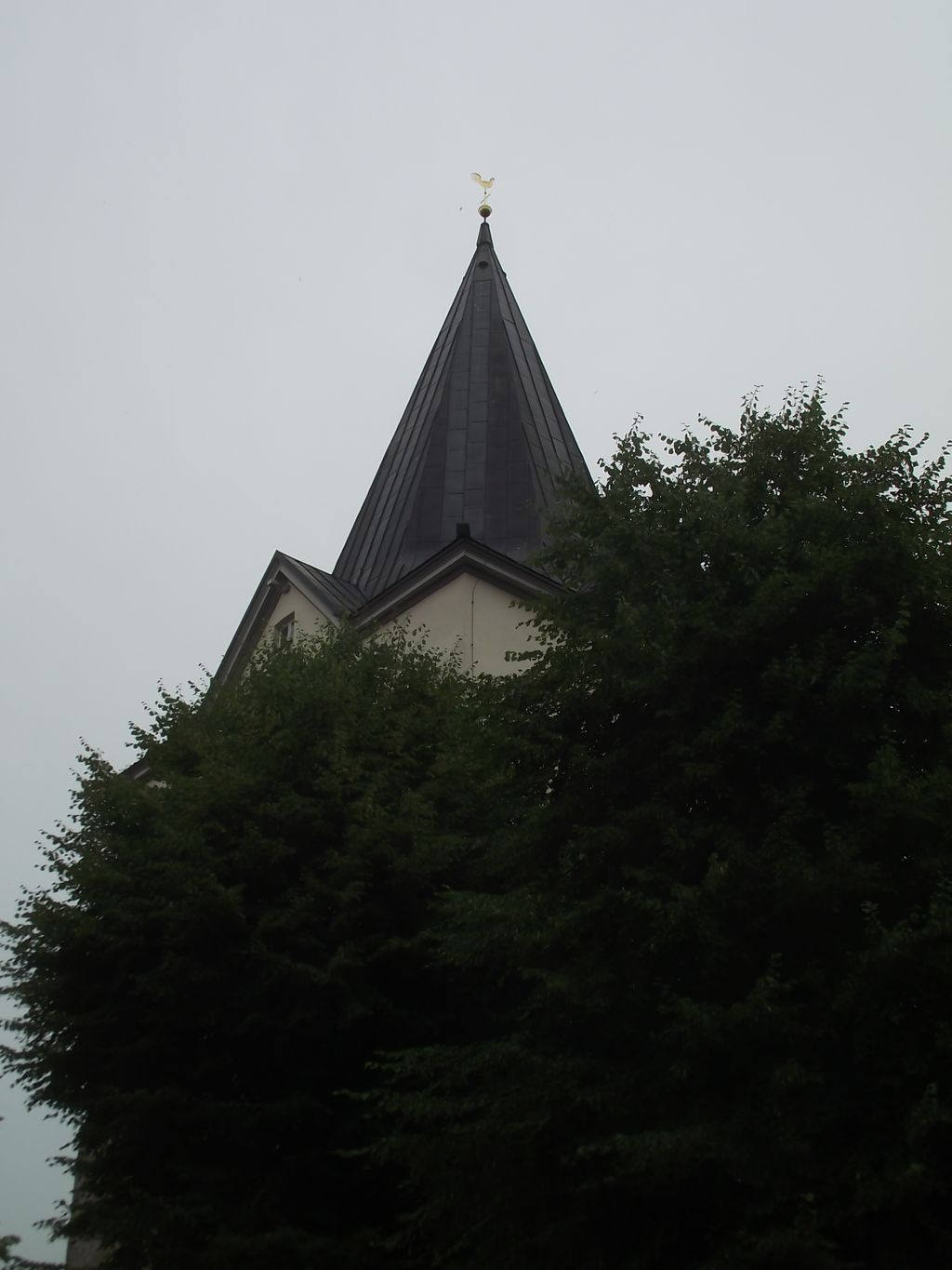 Nutzerfoto 3 Ev.-luth. Liebfrauen-Kirchengemeinde Friedhof