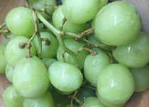 Bild zu Dole Fresh Fruit Europe OHG Import und Export