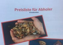 Bild zu Siebrands Fischereibetrieb / Online Krabben und Fischversand fish4me.de